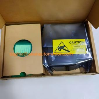 Emerson DeltaV VE4003S6B1